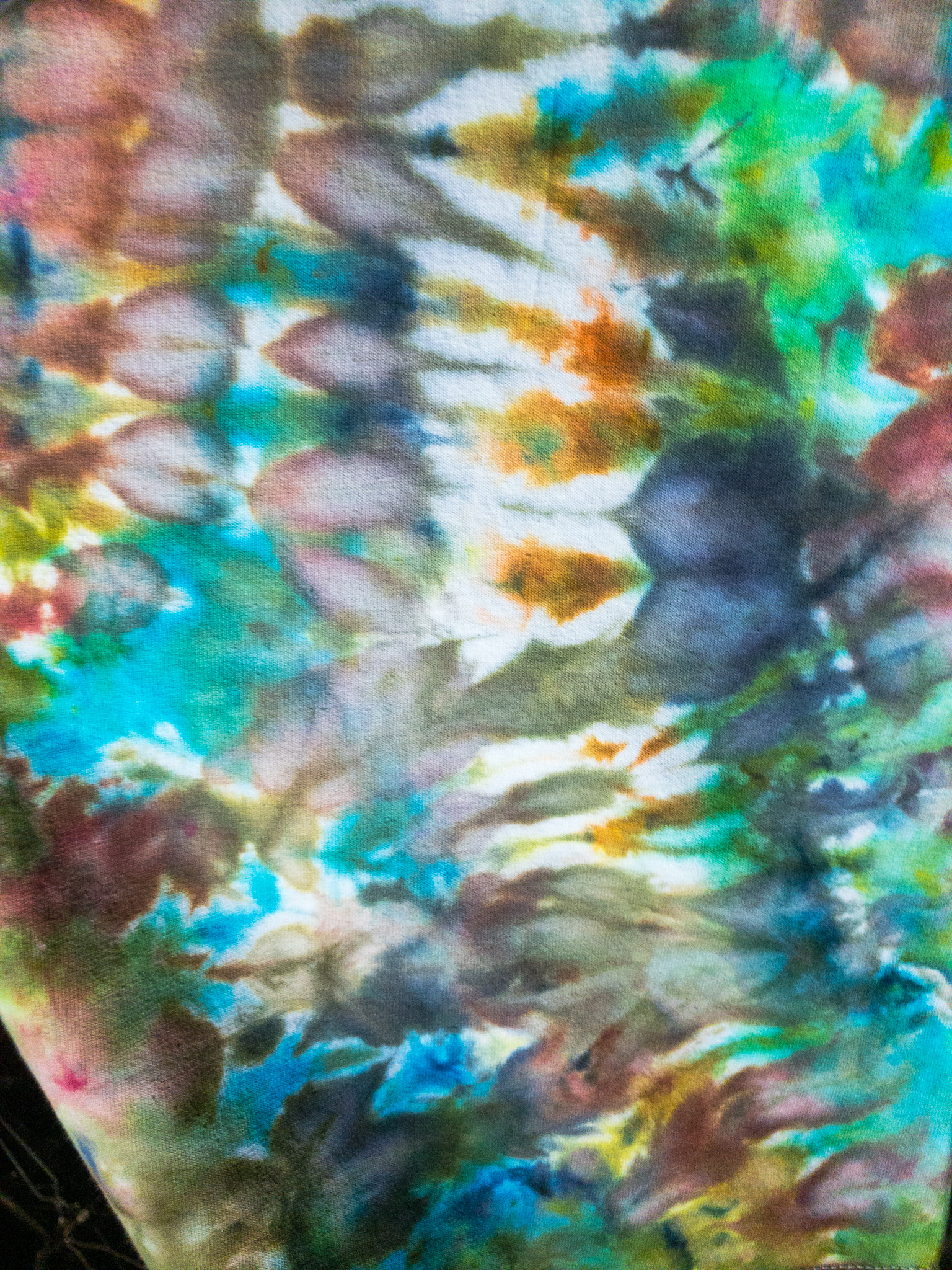 Closeup "Mantis Shrimp"